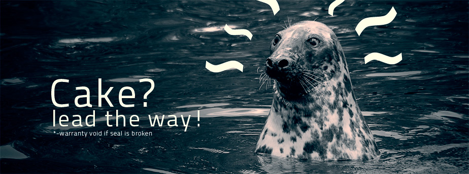 怎么去攻击一个网站与防护