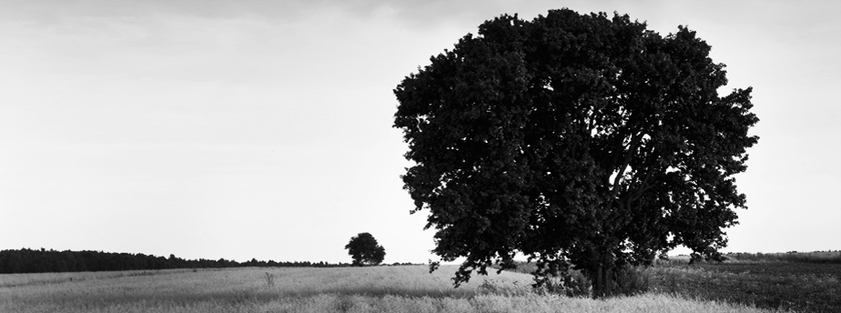激活工具商店的怎么去攻击一个网站与防护